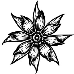 Floral Mandala: Black and White Line Art of Flower, Isolated on White