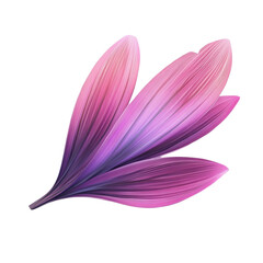 Pink and purple flower petals abstract art design floral illustration