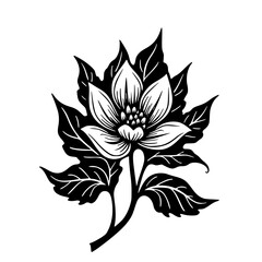Elegant Black and White Floral Design: Vector Illustration
