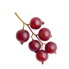 Fresh red currants isolated on white background food photography culinary delights minimalist style close-up concept
