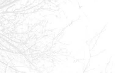 White abstract background with a pattern of tree branches. Vector illustration.
