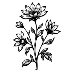 Elegant Floral Line Art: Botanical Illustration on White