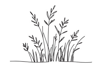 Delicate grass silhouette illustration meadow field vector design art