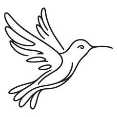 Hummingbird flying vector drawing illustration graphic design template