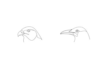 Minimalist Line Art Of Two Bird Heads Eagle And Toucan Design
