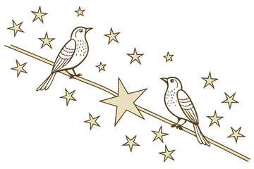 Symmetric Mirrored Star Layout