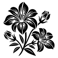 Elegant Lily Flower Vector Design