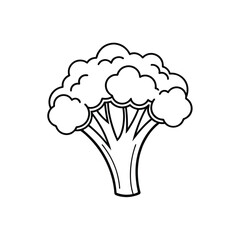 Broccoli icon vector line art on a white background