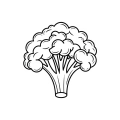 Broccoli icon vector line art on a white background