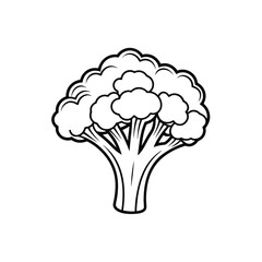 Broccoli icon vector line art on a white background