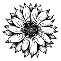 Black and White Sunflower Illustration: Floral Line Art Design