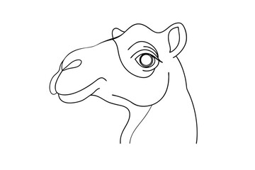 Minimalist camel head outline drawing simple line art vector illustration desert animal design
