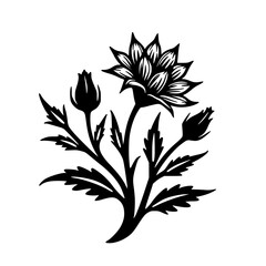 Black and White Floral Vector Illustration: Botanical Design Element