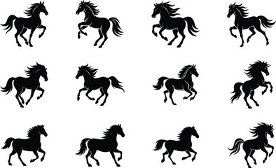 Set of Wild horse silhouettes set on transparent background