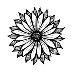 Black and White Sunflower Vector Illustration, Hand-drawn Floral Design