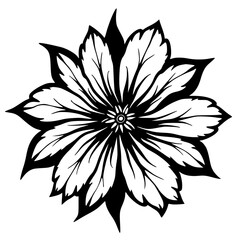 Elegant Black and White Floral Vector Illustration for Design Elements
