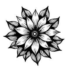 Intricate Floral Mandala: Monochrome Illustration on White, Decorative Design