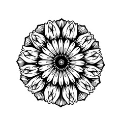 Obraz premium Detailed Black and White Mandala Flower Design