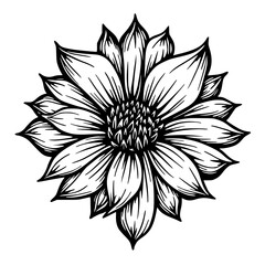 Black and White Floral Mandala Illustration, Botanical Design Element