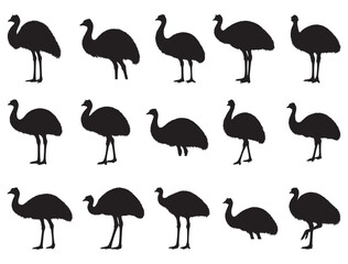 Obraz premium EMU SILHOUETTE WHITE BACKGROUND
