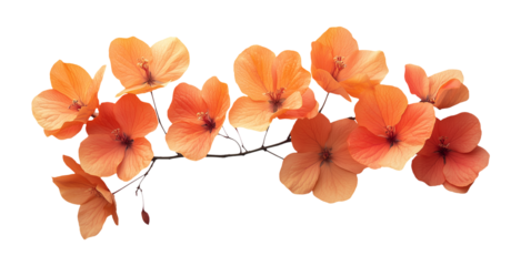 Radiant flower bush with sunlit petals, showcasing vibrant orange blooms that evoke warmth and beauty in nature