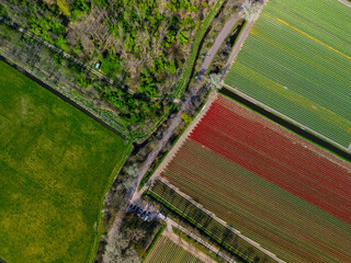 Aerial footage shows colorful tulip fields, greenhouses, and canals stretching across the flat...