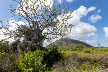 The Galapagos Islands are a volcanic archipelago in Ecuador, the first to be designated a World Natural Heritage Site. They are known as the loneliest and most beautiful archipelago in the world