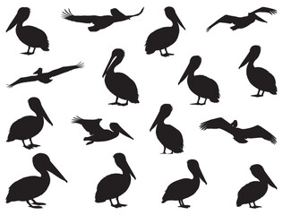 PELICAN BIRD SILHOUETTE WHITE BACKGROUND