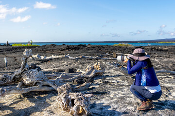The Galapagos Islands are a volcanic archipelago in Ecuador, the first to be designated a World...
