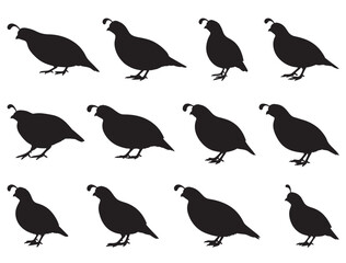 QUAIL SILHOUETTE