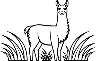 Cartoon Outlined Llama Standing in Grass. Smiling Llama on White