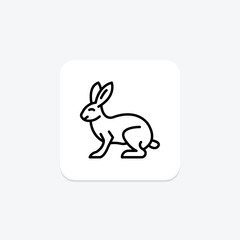 Rabbit, vector, pixel perfect, illustrator file