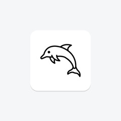 Dolphin, vector, pixel perfect, illustrator file