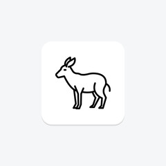 Okapi, vector, pixel perfect, illustrator file