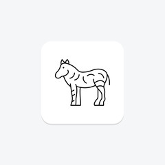 Zebra, vector, pixel perfect, illustrator file