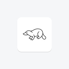 Platypus, vector, pixel perfect, illustrator file