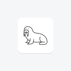 Walrus, vector, pixel perfect, illustrator file