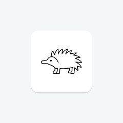 Echidna, vector, pixel perfect, illustrator file