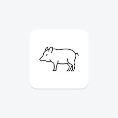 Peccary, vector, pixel perfect, illustrator file