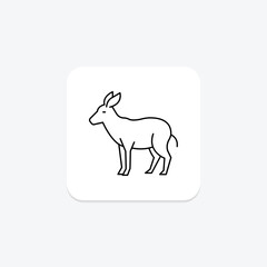 Okapi, vector, pixel perfect, illustrator file