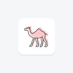 Camel, vector, pixel perfect, illustrator file