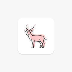 Gazelle, vector, pixel perfect, illustrator file
