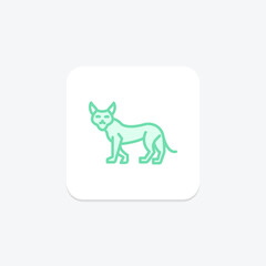 Lynx, vector, pixel perfect, illustrator file
