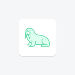 Obraz premium Walrus, vector, pixel perfect, illustrator file