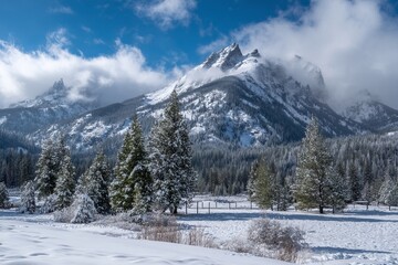 Majestic Winter Mountain Peak Covered in Snow with Evergreen Trees, Serene Landscape, Breathtaking View, Picturesque Scenery