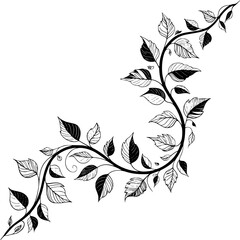 Decorative Grayscale Curving Vine Illustration with Ornate Leaves