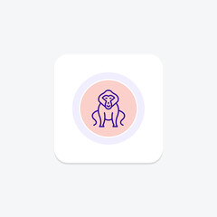 Fototapeta premium Baboon, vector, pixel perfect, illustrator file
