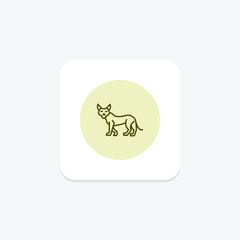 Lynx, vector, pixel perfect, illustrator file