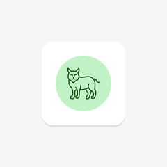 Cougar, vector, pixel perfect, illustrator file