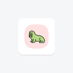 Walrus, vector, pixel perfect, illustrator file